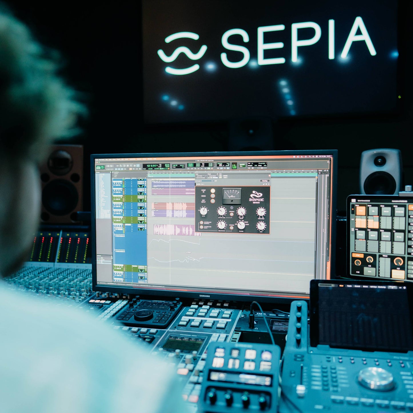 Serpent Audio SB4001 SEPIA-Modul